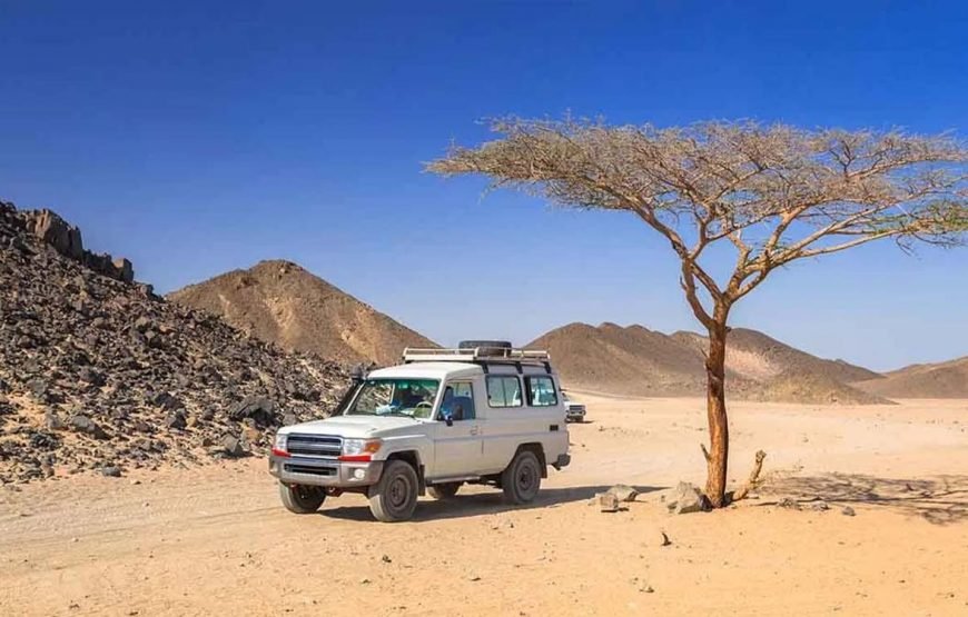 Relaxing Family Sunset Safari (5 Hours) Excursion in Egypt